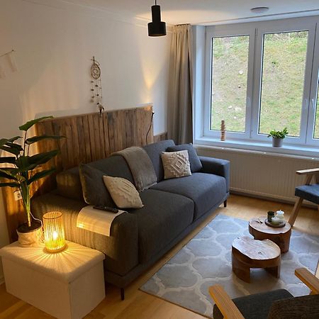 Bed & Breakfast De Plenkert 팔켄뷔르흐안더횔 외부 사진